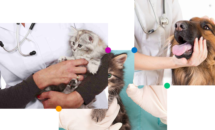Assurance santé
