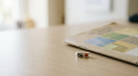 Gros plan sur une puce électronique d'identification animale posée à côté d'un carnet de santé, symbolisant les obligations d'assurance pour animaux